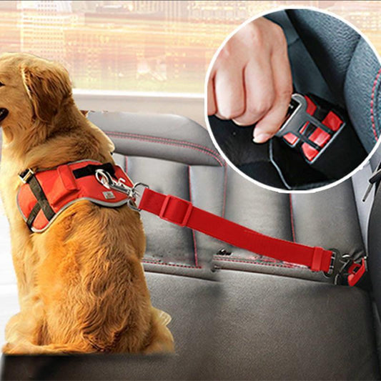 Correa de tracción para perros. Cuerda telescópica. Cuerda de coche