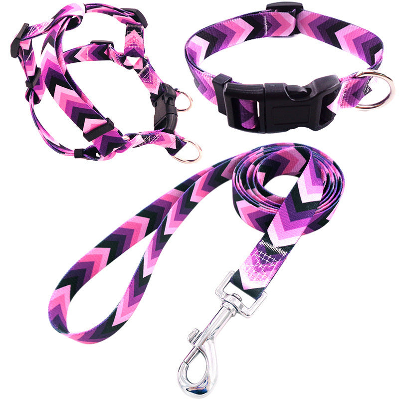 Collar para perro impreso en colores, incluye arnés collar y cuerda de paseo.