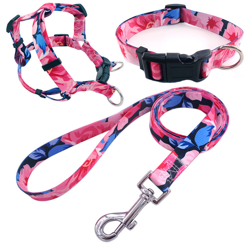 Collar para perro impreso en colores, incluye arnés collar y cuerda de paseo.