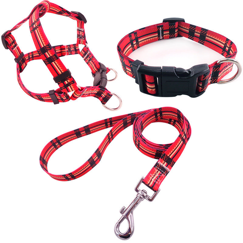 Collar para perro impreso en colores, incluye arnés collar y cuerda de paseo.