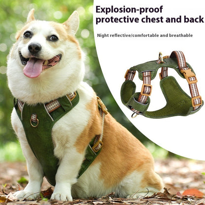 Harness de Cuero estilo Retro para Perro " Explosion -proof" reflectante