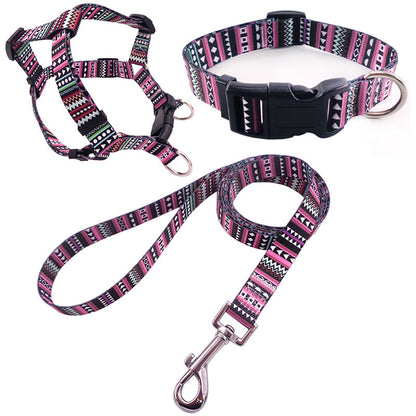 Collar para perro impreso en colores, incluye arnés collar y cuerda de paseo.