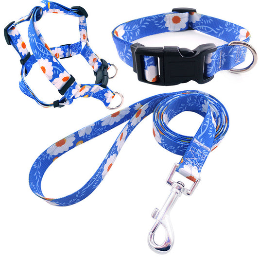 Collar para perro impreso en colores, incluye arnés collar y cuerda de paseo.