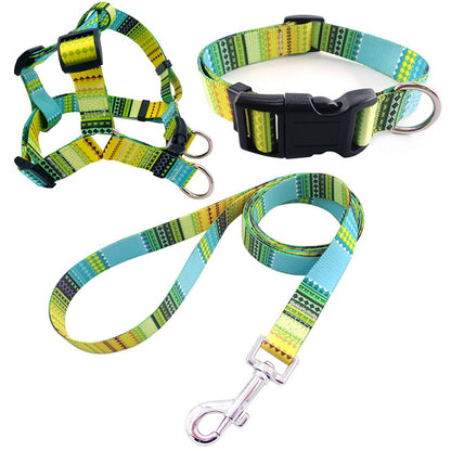Collar para perro impreso en colores, incluye arnés collar y cuerda de paseo.