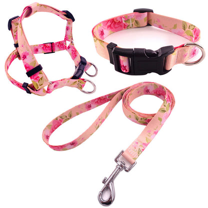 Collar para perro impreso en colores, incluye arnés collar y cuerda de paseo.